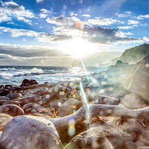 THE LIGHT Sunrise Huelo